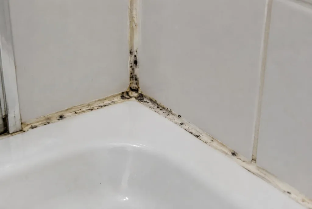 Kitbedrijf IJmuiden – beschimmelde kitranden